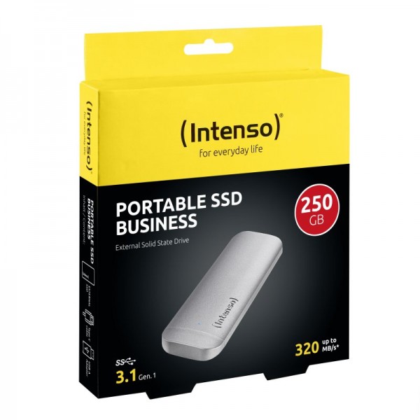 Intenso external ssd 250gb business 1.8" usb-c 3.1